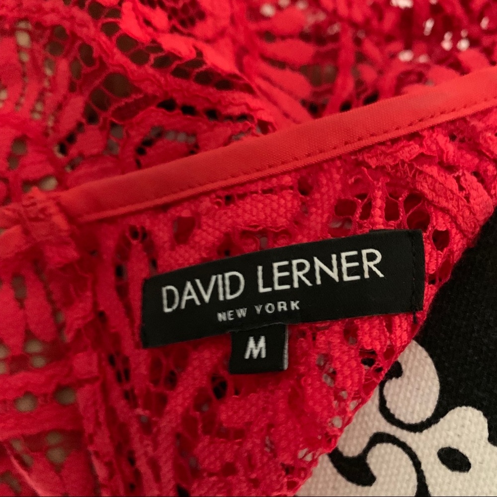 David Lerner red laced dress - Picture 3 of 3